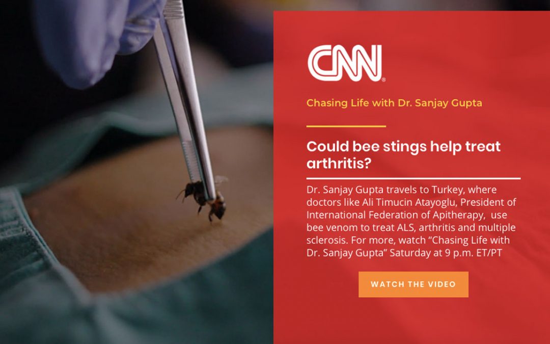 CNN – Chasing Life with Dr. Sanjay Gupta – Apitherapy – Apiterapi
